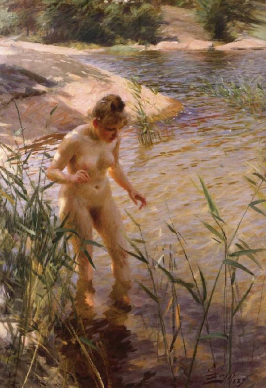 Anders Zorn Reflex oil painting image